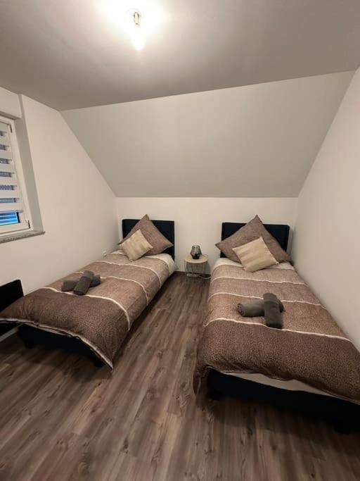 Appartement Algo Algolsheim Kültér fotó